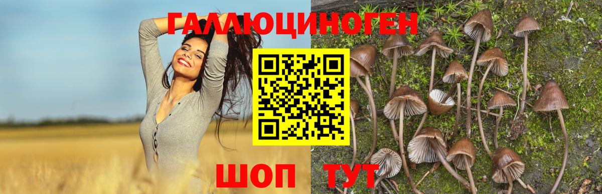 Галлюциногенные грибы MAGIC MUSHROOMS  Вход с VPN  Великие Луки 